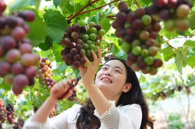 經常熬夜很傷身,吃這10種食物減輕熬夜傷害