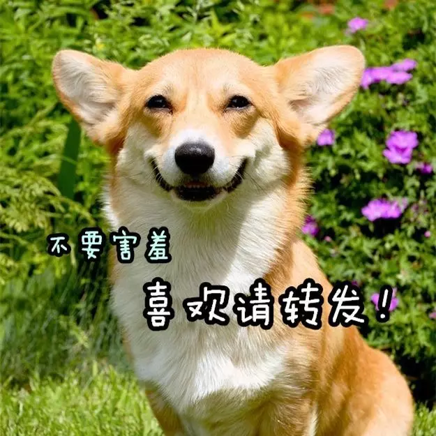 十二星座笑容排行榜!第一名超美,說的是就是你!