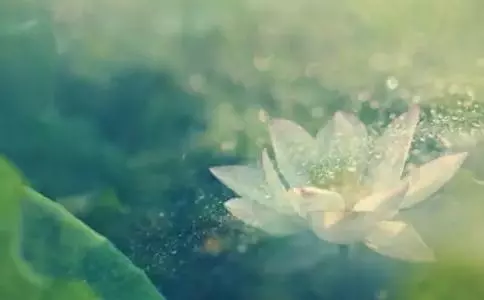 人生走下坡路時,往往會有這1種徵兆,早知道才能早避免!!