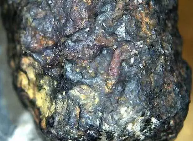 地球首個被隕石砸中的人, 上天給她一夜暴富的機會, 如今怎樣了?