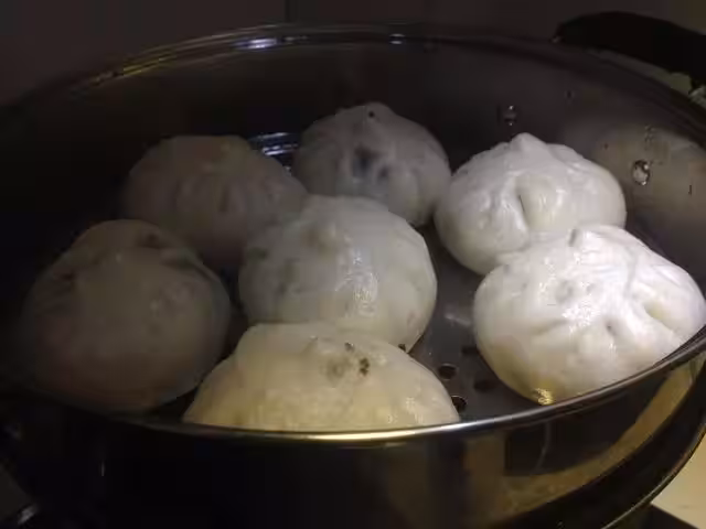 16款包子的做法配方,農村老奶奶做了幾十年,很多人從小到大