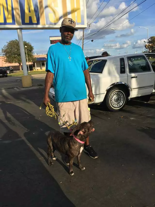 超暖心比特犬「比人類更會當看護」 緊跟在阿嬤身邊:有我守護著你喔