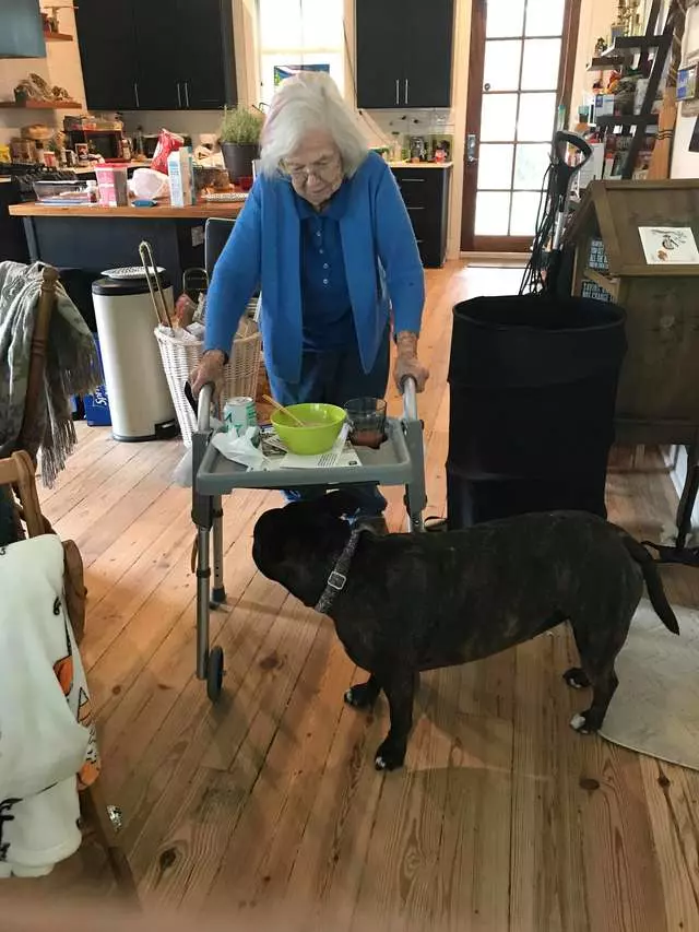 超暖心比特犬「比人類更會當看護」 緊跟在阿嬤身邊:有我守護著你喔
