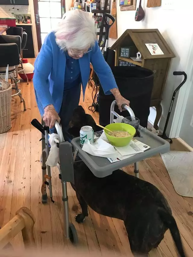 超暖心比特犬「比人類更會當看護」 緊跟在阿嬤身邊:有我守護著你喔