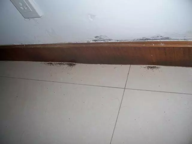不要讓自己繼續虛度光陰了,七月事業起飛,財運回暖的4生肖