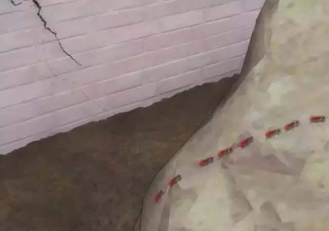 不要讓自己繼續虛度光陰了,七月事業起飛,財運回暖的4生肖