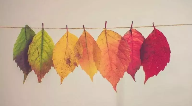 人的一生酸甜苦辣,先苦後甜的8大生肖,晚年運都不錯