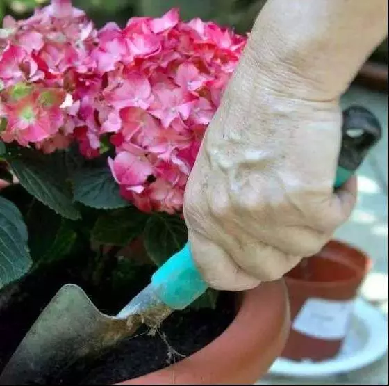 每天堅持做這套動作,女人皮膚水嫩更年輕,60歲不長皺紋~