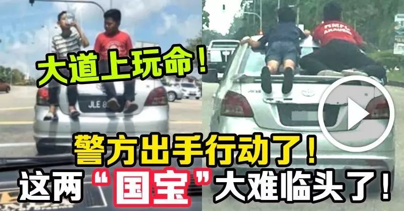 大道上玩命!警方出手行動了!這兩「國寶」大難臨頭了!