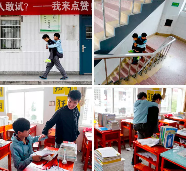 29張證明「友情力量大」的暖心照片 動物界的友愛畫面超感人