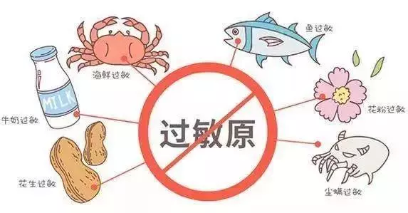開刀後不能吃鵝肉是誤傳!這些食物才真的不利於傷口癒合 !
