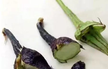 茄子最有營養的部分,被你扔了!用它煮水,原來那麼多好處 !