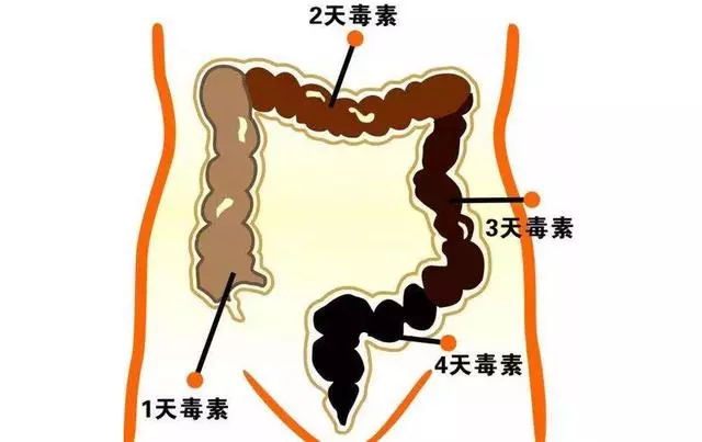 葡萄乾放到水裡泡著喝, 3天體內肝臟毒素去多半