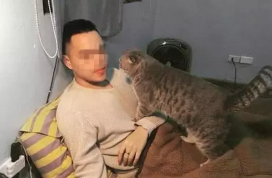她出差把主子「交給男友照顧」,回來一看「後悔到痛哭流涕」...內心OS:到底誰才是小三QQ