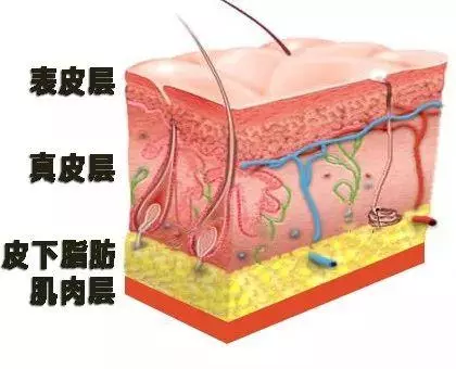 瘦了200斤,身體很多贅皮,怎麼辦?