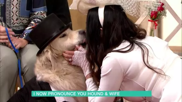 「221次約會失敗」對男人徹底絕望! 女模直播嫁給愛犬:牠絕不會背叛我