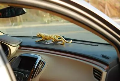 車內應該扔掉的四樣東西!不僅危險,被交警查到還會罰款哦~