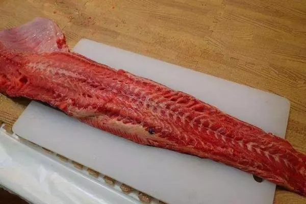 他在發臭的河釣到一隻「110公分超巨大土蝨」,帶回飯店做成料理後,「悲劇」發生了!