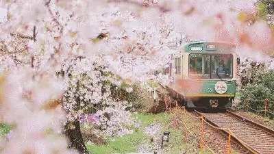 愛旅行的女人最好命!旅行是女人一生「最好的投資」,揭3大優點:心態年輕,容貌就不會老!