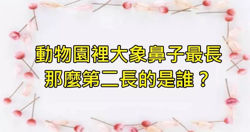 5個「看似不可能」的奇怪問題,可以訓練你換個角度思考的能力!