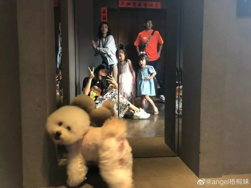 連媽都不同意!梧桐妹「被酸民連轟5天」秒關帳號,只有修杰楷力挺她:「做得很棒」~~