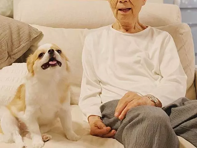 孤寡老人見到路邊小狗後決心領養,在愛犬陪伴下安度晚年