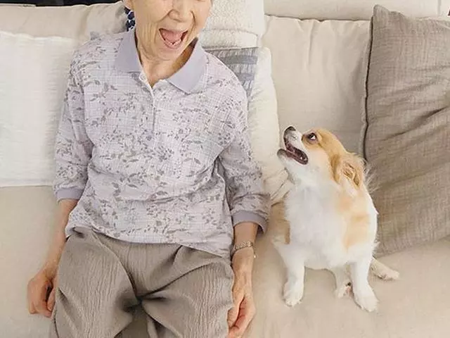 孤寡老人見到路邊小狗後決心領養,在愛犬陪伴下安度晚年