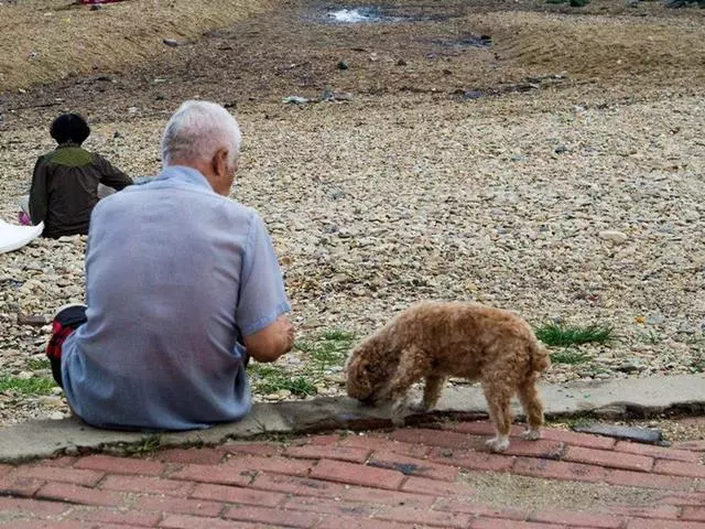 孤寡老人見到路邊小狗後決心領養,在愛犬陪伴下安度晚年