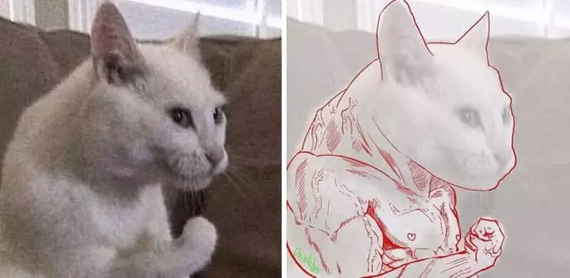 9隻「因視覺錯誤而產生」的筋肉動物圖 網大笑:出扭蛋我全都買
