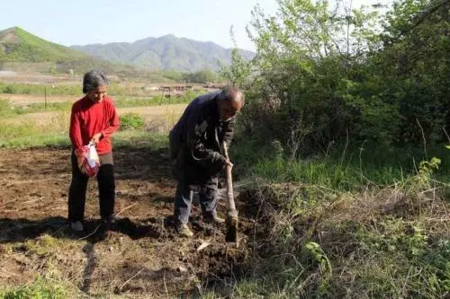 兒子接我去城裡過年,幫兒子接了一個電話,我收拾東西回了老家!