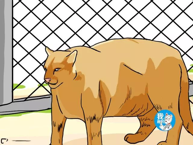 動物園的一隻獅子,引起了遊客的質疑:這是奶奶帶大的嗎?