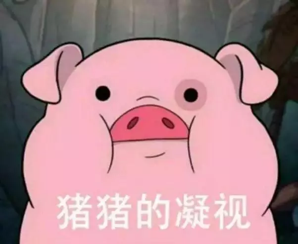 動物園的一隻獅子,引起了遊客的質疑:這是奶奶帶大的嗎?