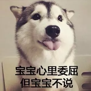 帶小貓去剪指甲,低頭一看自閉了:不然我再給您接回來?