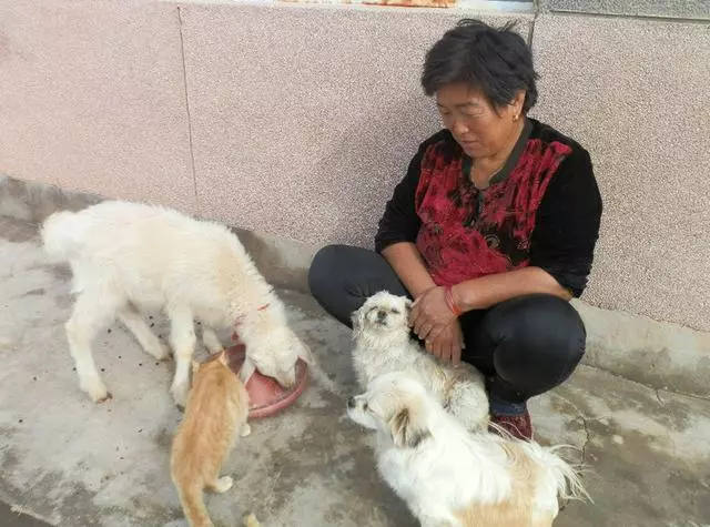 去兒子家過年,兒媳做了一道菜孫子摔了筷子,而我卻感動落下眼淚