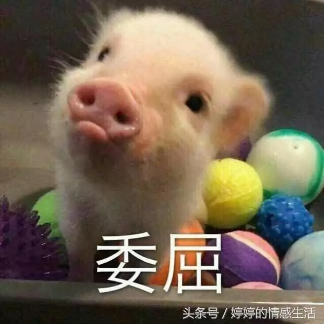 恨透了大姑姐,想要爆發了,我卻只能吐槽無力反抗……