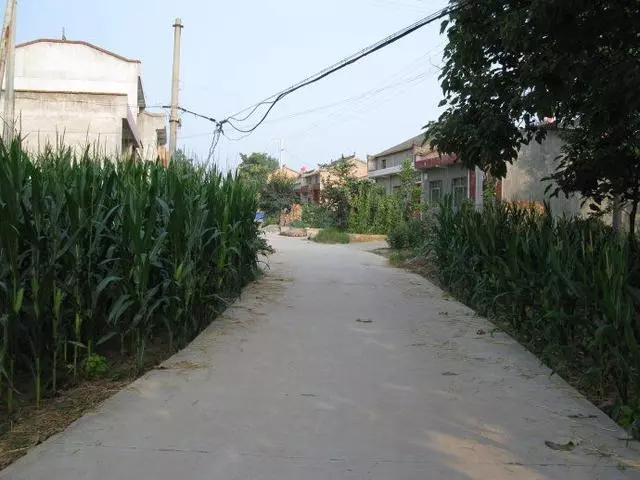 鄉下母親剛來就要回去,得知原因,我甩手給老婆一巴掌