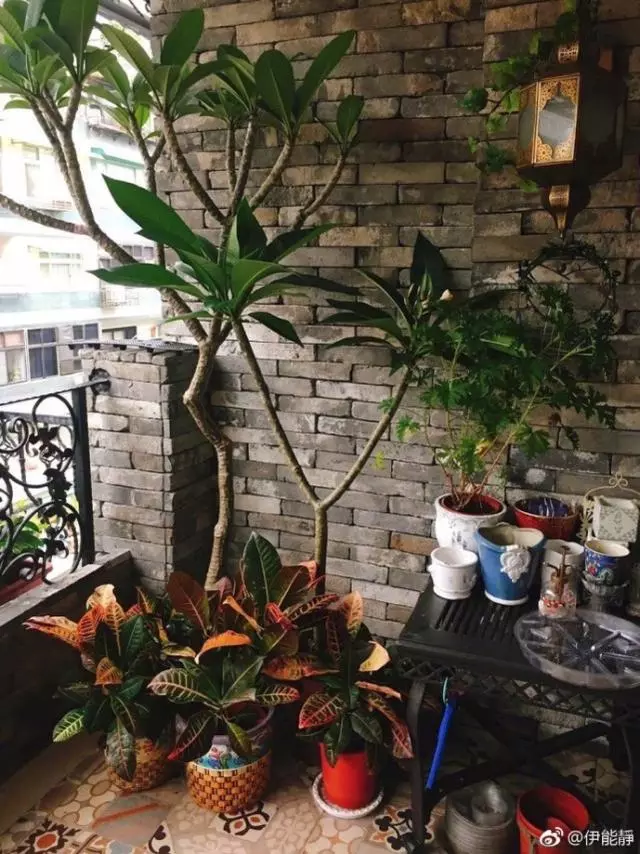 48歲伊能靜「台灣豪宅」內部曝光!裝潢極度奢華,網友看到客廳狂酸:「難怪老公不跟她住!」!