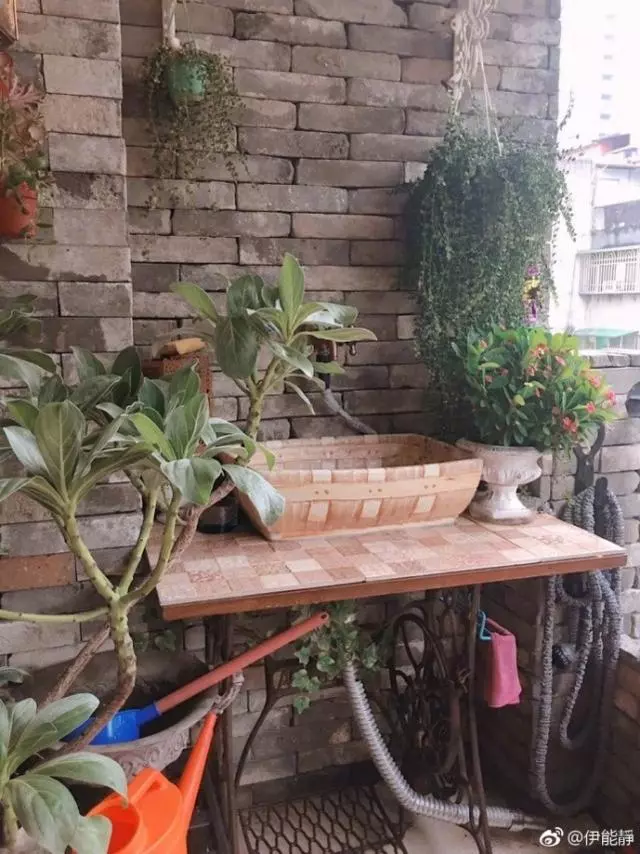 48歲伊能靜「台灣豪宅」內部曝光!裝潢極度奢華,網友看到客廳狂酸:「難怪老公不跟她住!」!