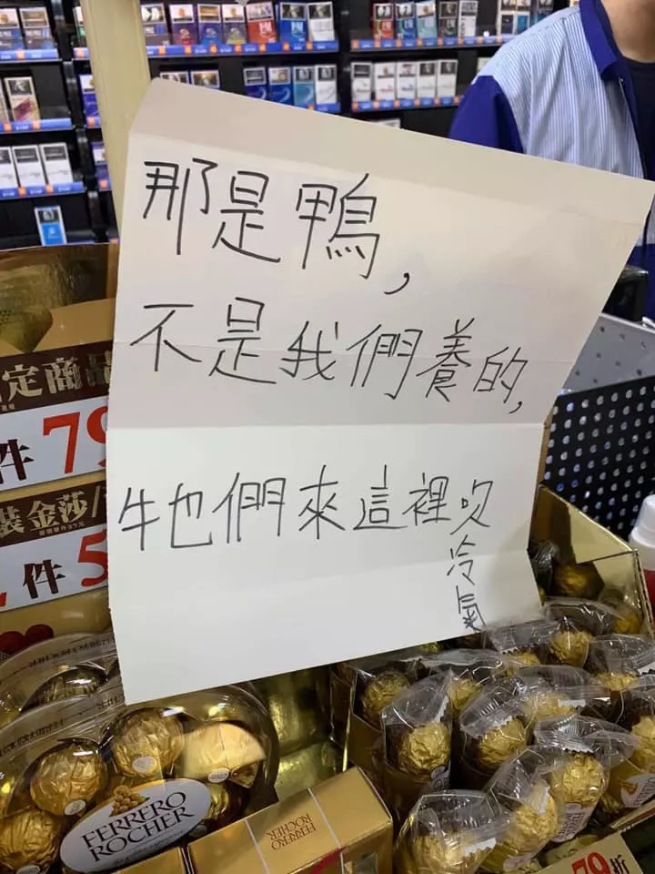 2隻鴨鴨並肩來逛超商! 店員被問到「無奈貼公告」:來吹冷氣的