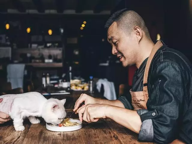 我們與貓的同棲生活:你能想像這個世界沒有貓嗎?