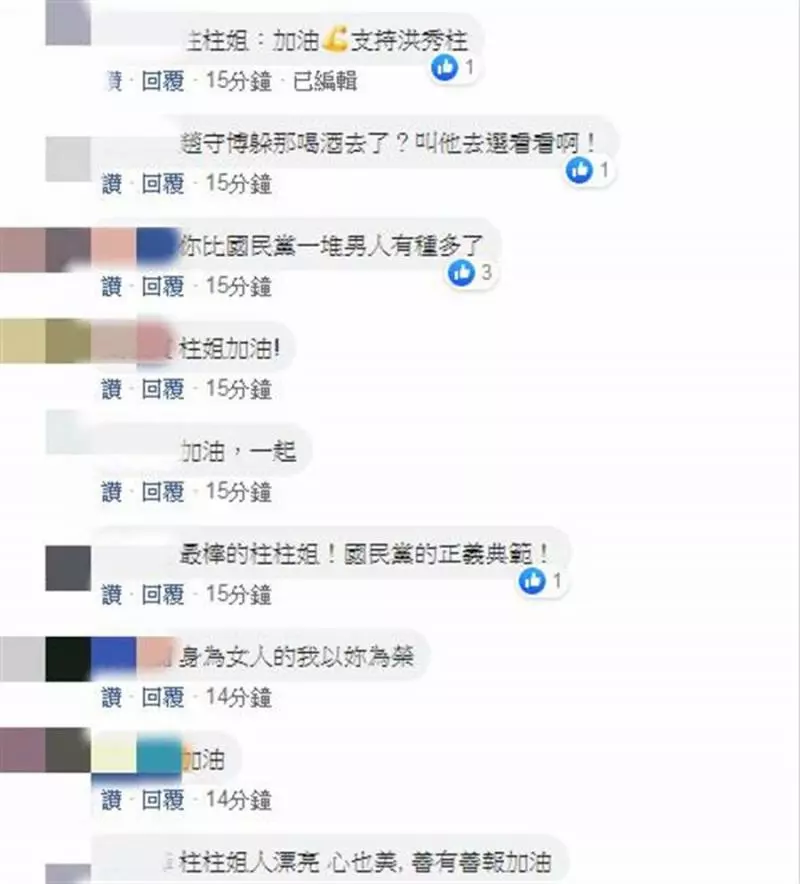 柱柱姐戰台南發出師表 網讚爆臉書