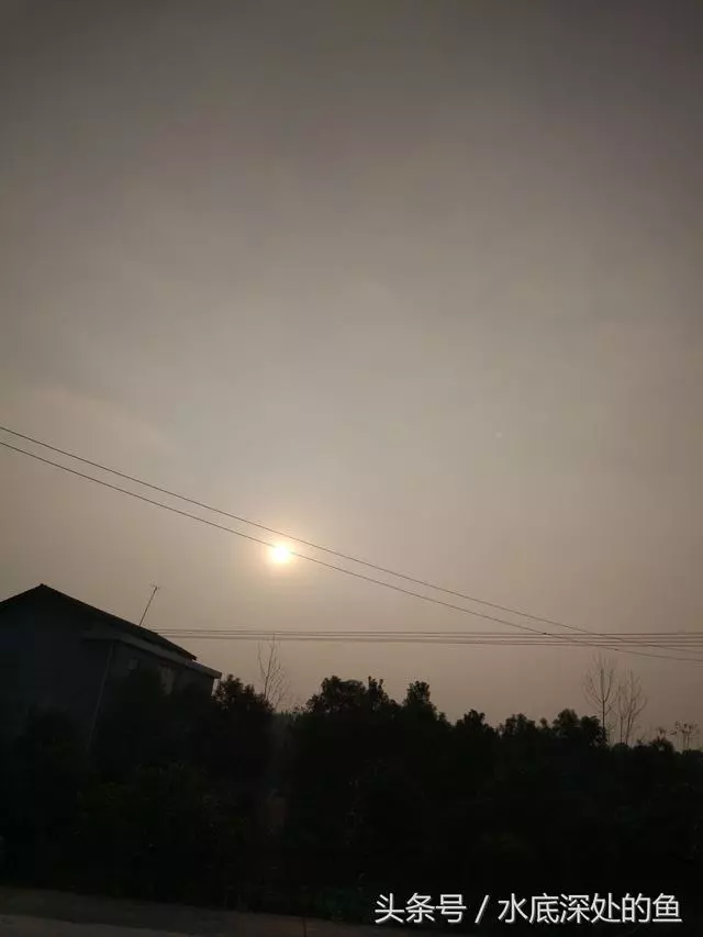 老公偷偷的跟前任妻子又生了一個孩子,原因讓我痛苦不堪