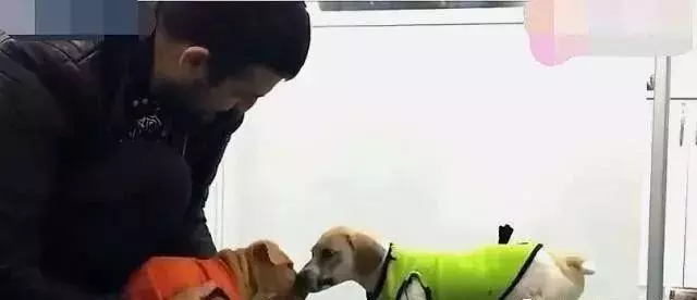浪浪滿眼淚水躺在地上,全身都被雜草包裹,好心人的做法讓人好感動