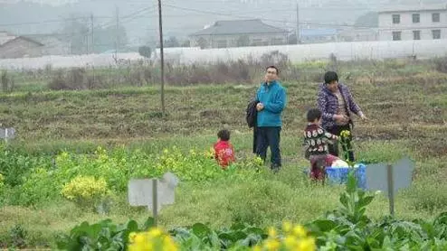 繼父將我毒打趕出門!多年後我開豪車送50萬,村裡人卻朝我扔臭雞蛋......