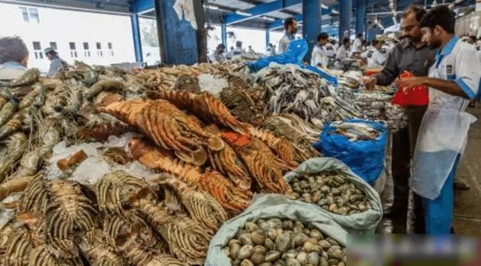 杜拜土豪們逛的菜市場:鯊魚擺地攤,滿地都是帝王蟹大龍蝦!