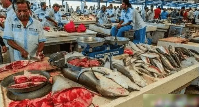 杜拜土豪們逛的菜市場:鯊魚擺地攤,滿地都是帝王蟹大龍蝦!