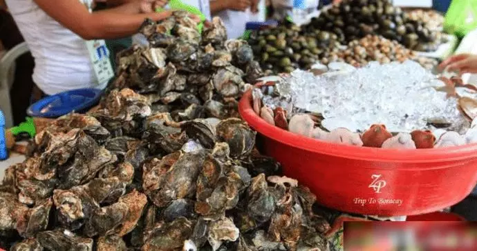 杜拜土豪們逛的菜市場:鯊魚擺地攤,滿地都是帝王蟹大龍蝦!