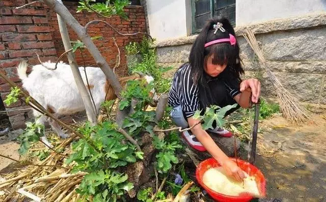 沒按時做飯被婆婆打,老公一巴掌把我扇地上,站起身後,全家傻住!