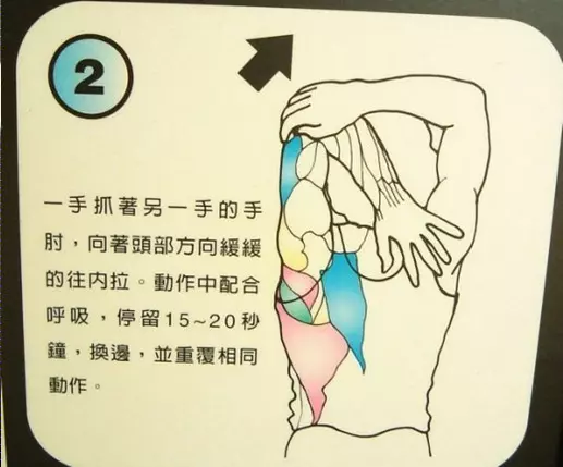醫生背書:每天拉筋 3分鐘 3個月瘦 10公斤!這 12招全身伸展一定要記起來