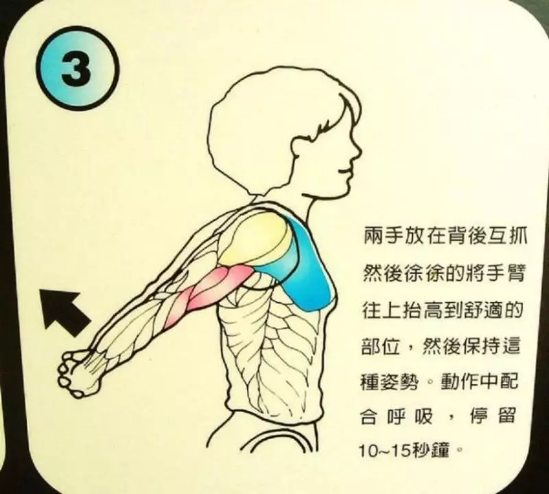 醫生背書:每天拉筋 3分鐘 3個月瘦 10公斤!這 12招全身伸展一定要記起來